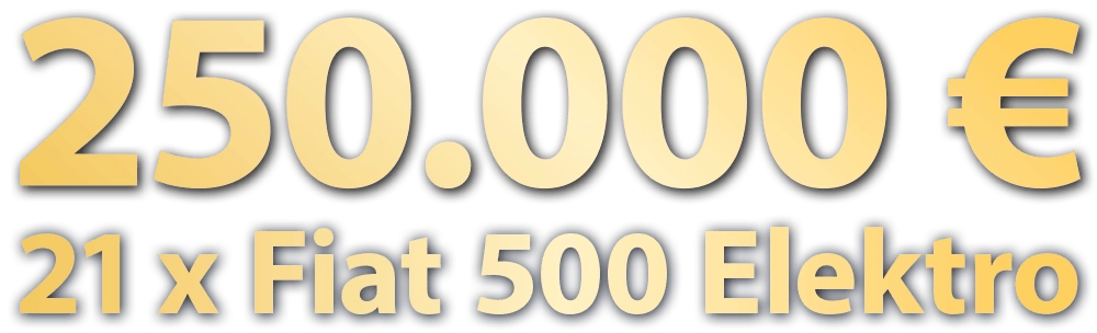 250.000 € / 21 x Fiat 500 Elektro